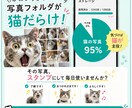 愛猫の写真で、毎日使えるLINEスタンプ作成します ｜申請するだけでOK！実用セリフ入り・透過PNG納品 イメージ2