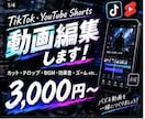 TikTok.YouTube動画編集します SNS用のショート動画を見やすくテンポよく編集します イメージ1