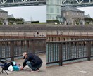 写真を自然な感じに、合成・修正・レタッチします Photoshopレタッチ作業全般 イメージ4