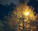 幸せになる為、お聞きします 悩みに大きいも小さいも絶対ない！！ イメージ1