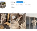 インスタに日本人フォロワーを100人増やします 【モニター価格】日本／匿名評価／安い／インスタ／拡散 イメージ9