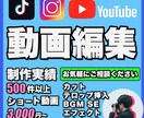 動画編集のプロがショート動画編集致します TikTok YouTube Instagram 複数対応 イメージ1