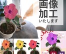 切り抜き・白背景・文字入れなど、画像加工いたします 修正無制限/現役レタッチャーが対応いたします イメージ1