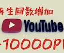 YouTube【再生回数】10000再生増やします あなたの動画の再生回数を10000回再生増やします。 イメージ1