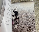 大切なペットとの思い出写真とメッセージを本にします 最高に可愛いペットとの思い出を、可愛い1冊の本に！ イメージ6