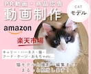 猫モデルとペット商品撮影&広告動画制作いたします ˗ˋˏ商品・サービスの魅力を伝える飽きさせない動画制作ˎˊ˗ イメージ1