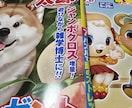 クロスワード　間違い探し　あなたの代わりに解きます 解ききれない。また、答えだけ教えて欲しいそんなあなたに イメージ1