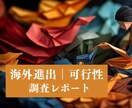 AI で海外進出可能性を調査します 【最短24時間】50カ国対応・5分野リスク分析 イメージ1