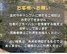 片思い【タロット】未来への一歩をサポートします 相手の気持ちをタロットで判断し、行動のタイミングを伝えます。 イメージ9