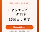 キャッチコピー・商品名を10案出します 狙いの説明つき｜商品・お店・サービスに イメージ1