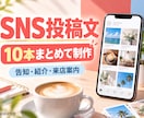 お店のSNS投稿文を10本まとめて作ります 投稿に悩むお店へ。告知・紹介・来店案内を整理 イメージ1