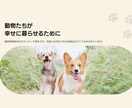 格安HP作成！最安値でHP作成します 丸投げOK！おしゃれなテンプレートから選ぶだけ！ イメージ5