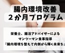 腸内環境改善２か月プログラム！完全個別指導致します 腸内環境を整えてダイエット、体質改善、免疫力向上したい方 イメージ1
