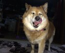 【聞き取り屋】あなたのお話なんでも聞きます！5日間話し放題♪ イメージ1