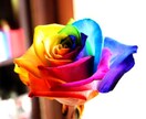 あの人との相性鑑定します あの人とうまくいくのか不安？どんな間柄の人でもOKです！ イメージ1