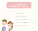 喜びも悲しみも。しっぽちゃんのお話しお聴きします しっぽちゃんとの暮らし、こころがほっとする時間をお届けします イメージ3