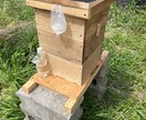 農薬等を使わない農法のご相談を承ります 水稲、小麦、野菜、鶏、日本ミツバチに取り組んでみませんか？ イメージ9