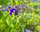 撮った写真の販売、インスタ用等の加工を承ります あなたの思い出に色を付けます。自然の癒しを堪能しませんか？ イメージ5