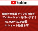 YouTube再生数を伸ばすための支援を行います 先着20名様モニター価格でご提供！是非お試しください！ イメージ2