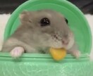 なんでも話して下さい。あなたの心を受け止めます 疲れていませんか？？ライン感覚で話して、心の重荷おろしてね！ イメージ1