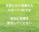 学習応援！出版翻訳者が「習慣化をサポート」します 「21日間」本気でとりくむ意欲のある方向けのサービスです イメージ2