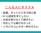 売上ゼロから脱出！SNS戦略5点セットお届けします 初心者が月収30万達成までの全手順を実体験で解説します。 イメージ3