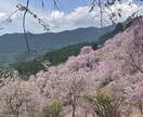 雑談も愚痴も色々じっくり聞きます 誰でも相談から愚痴まで聞かせてください！ イメージ1