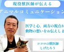 現役獣医師が動物の心の声をお伝えします 治療だけでは届かない、動物の本当の気持ちを獣医師が通訳します イメージ1