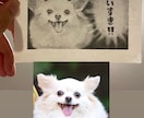 鉛筆画であなたのペットをリアルに描きます 大切なペットの思い出の瞬間をポストカードにしませんか？ イメージ2