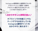格安！Instagram運用・やり方を教えます 本質を理解できる！伸びるInstagram運用方法を伝授！ イメージ3