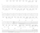 耳コピでギターTAB譜作成いたします TAB譜で弾きたい曲を弾けるようにサポートします！！ イメージ3
