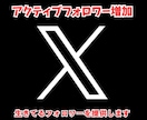 Xのアクティブ日本人フォロワー約100名増やします 活発な日本人フォロワーを格安で約100名！ イメージ1
