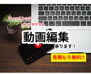 SNSフォロワー三千人のフリーターが動画編集します カットやテロップで、見られる動画にしませんか？ イメージ1