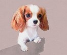 ペットをイラストに致します ペットの写真が水彩画風の似顔絵に♡ イメージ9
