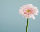 悩む幼稚園保育園選び、おはなし聴きます うちの子に合う園はどこかしら？悩めるママの相談に乗ります！ イメージ1