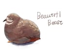 ペットの小鳥のイラスト描きます 愛鳥の似顔絵描きます！ふわふわの毛質にこだわりアリ！ イメージ1