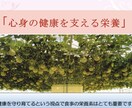 心身の健康食養生，健康をご指導します 心身のHealth Concierge：細胞環境を整えよう イメージ1