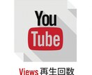 YouTube再生回数1000増やします 当サービス利用が漏れることはなく安心してご利用いただけます イメージ1