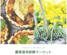 シンプルで分かりやすいバナー広告を制作します ★低単価★ ★修正回数無制限★ ★高品質★ ★オリジナル★ イメージ3