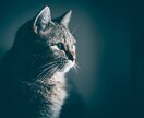 あがり症でも人前で堂々と話せる様にる方法を教えます 以前、あまりの変化に大変お喜びの声を頂いた方法です。 イメージ4