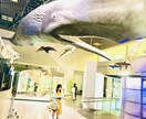 洋楽を歌いながら英語のイントネーションを教えます レッスンを受けたい日に私に連絡をするだけ！ イメージ1