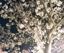 他人には相談できない事を聞きます 家族に精神的失陥かある方にオススメ イメージ1