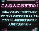 X（旧Twitter）外国人フォロワーを増加します 今だけ限定特価！Xフォロワー1000増加！減少保証付き！ イメージ3