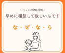 行動療法獣医師が犬の問題行動のご相談にのります しつけで解決できないと感じた飼い主様へ★質問は何度でも◎ イメージ3