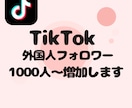 TikTokの外国人フォロワー増加いたします あなたのアカウントの信頼度高めませんか？ イメージ1