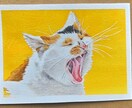 写真をもとに人物、ペットの似顔絵を描きます 透明水彩絵の具で厚めの水彩紙にポートレートを描きます。 イメージ7