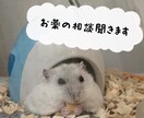 お薬の相談聞きます あなたの悩んでいるお薬の事について、ぜひ聞かせて下さい！ イメージ1