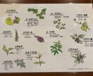 今すぐできる！美味しいお茶の淹れ方をお伝えします お家にある日本茶をどうしたら良いのかわからない方へ イメージ2