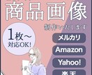 リピーター様限定！EC商品画像作成します こちらはリピーター様限定となっております。ご了承ください。 イメージ1
