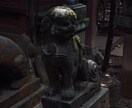 あなたの夢、鑑定します 夢は記憶整理の重要な装置。あなたに必要な情報をお渡しします。 イメージ2